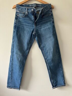 American Eagle Outfitters Women’s 90s Straight Leg Denim - Size 0 Short